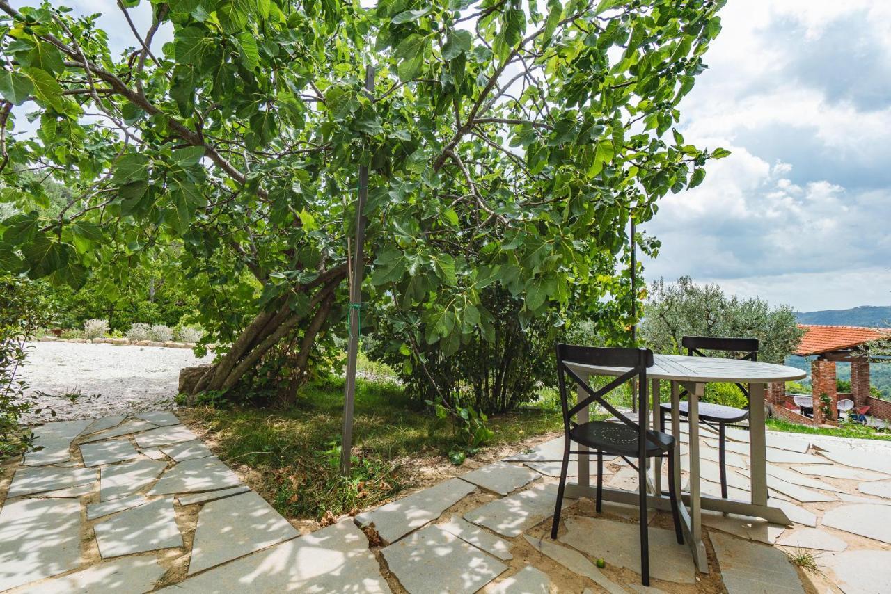Agriturismo Le Fonti Pontassieve Bagian luar foto
